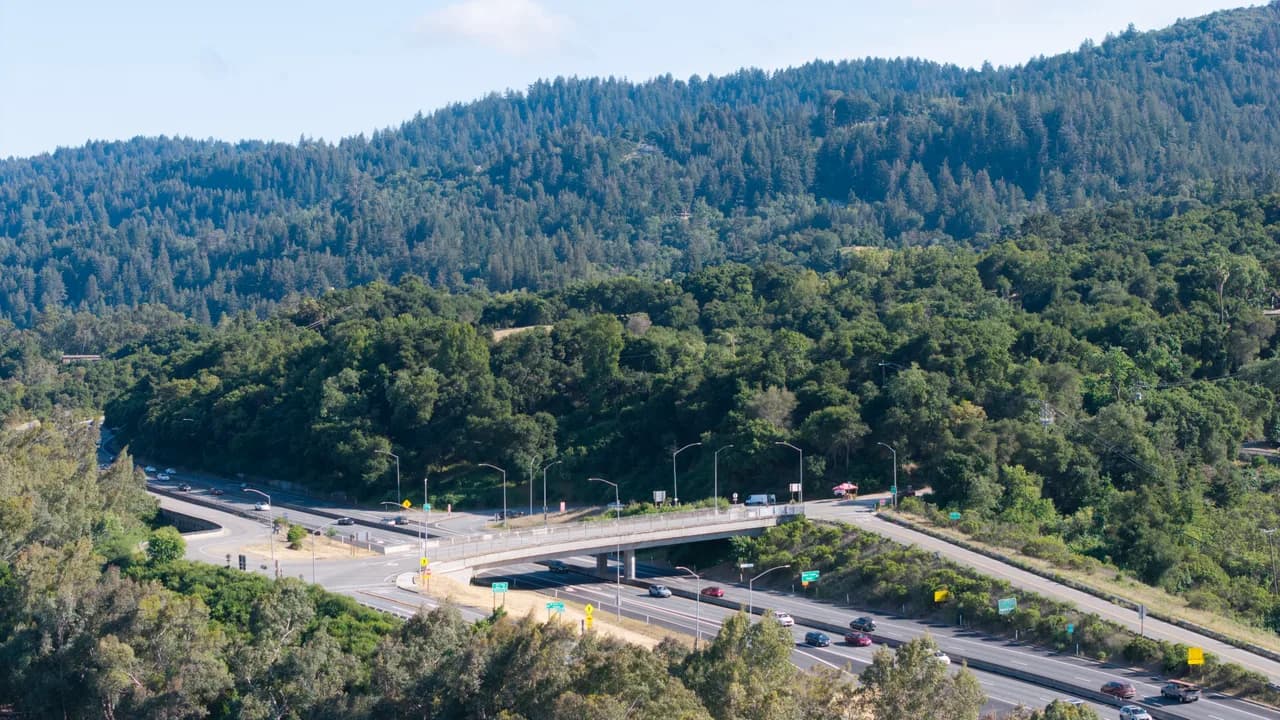 A photograph from the Aerial Shots collection. Aerial Shots photo 22 of 45.