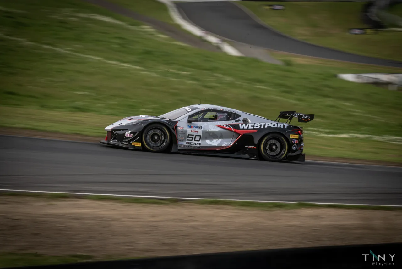 A silver, black and red number 50 race car passes a green hillside, with the background blurred by panning. Racing photo 4 of 34.